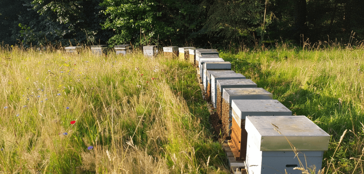 Nos photos - Image 5